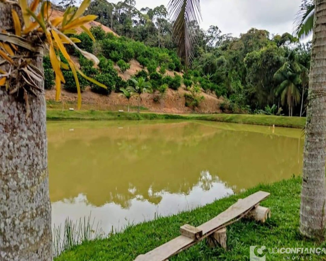 Fazenda à venda com 2 quartos - Foto 10