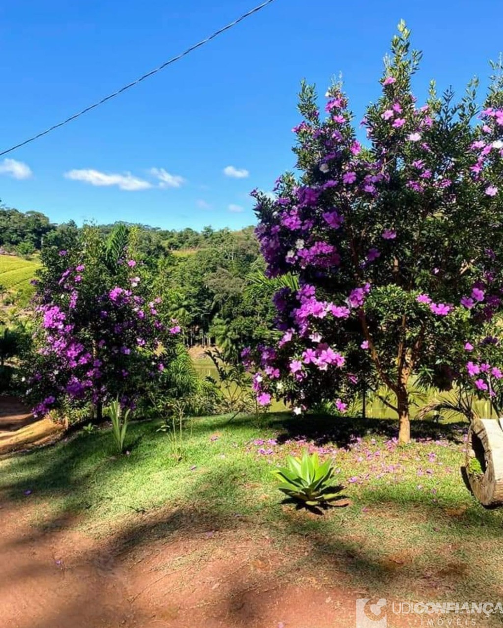 Fazenda à venda com 2 quartos - Foto 4