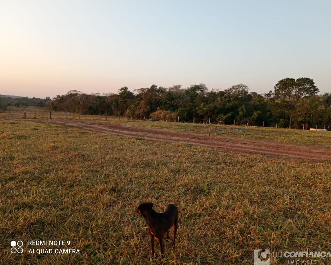 Fazenda à venda - Foto 28