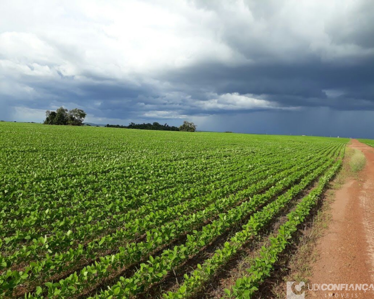 Fazenda à venda - Foto 6