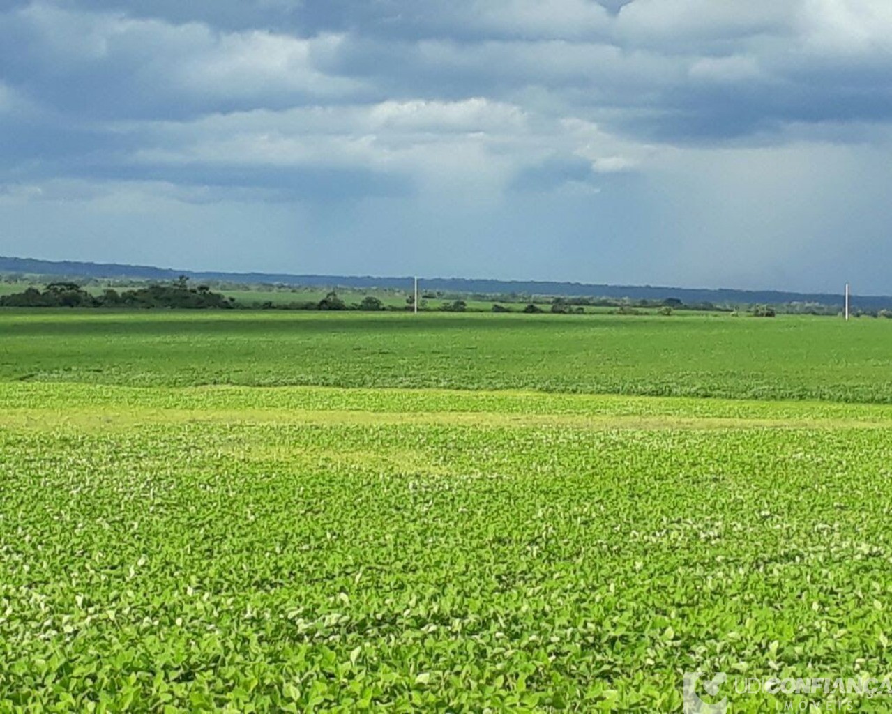 Fazenda à venda - Foto 2