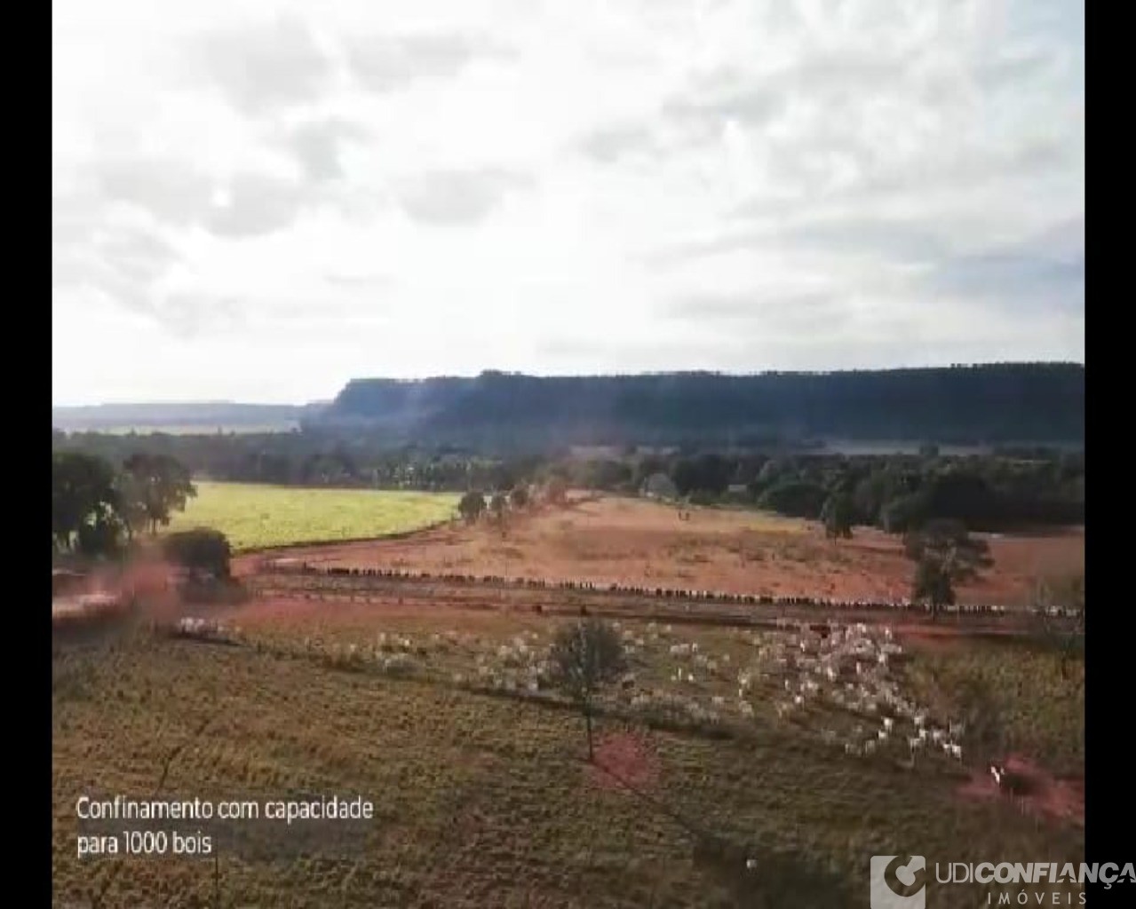 Fazenda à venda - Foto 1