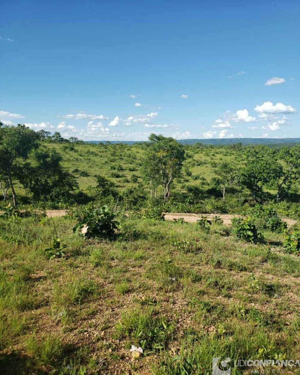 Fazenda à venda - Foto 7