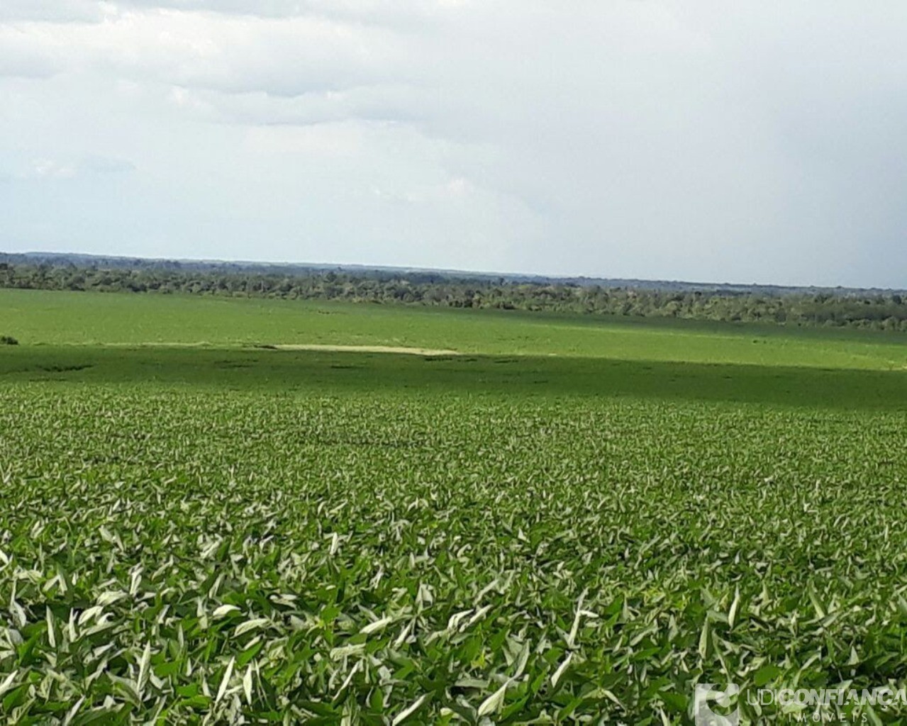 Fazenda à venda - Foto 4