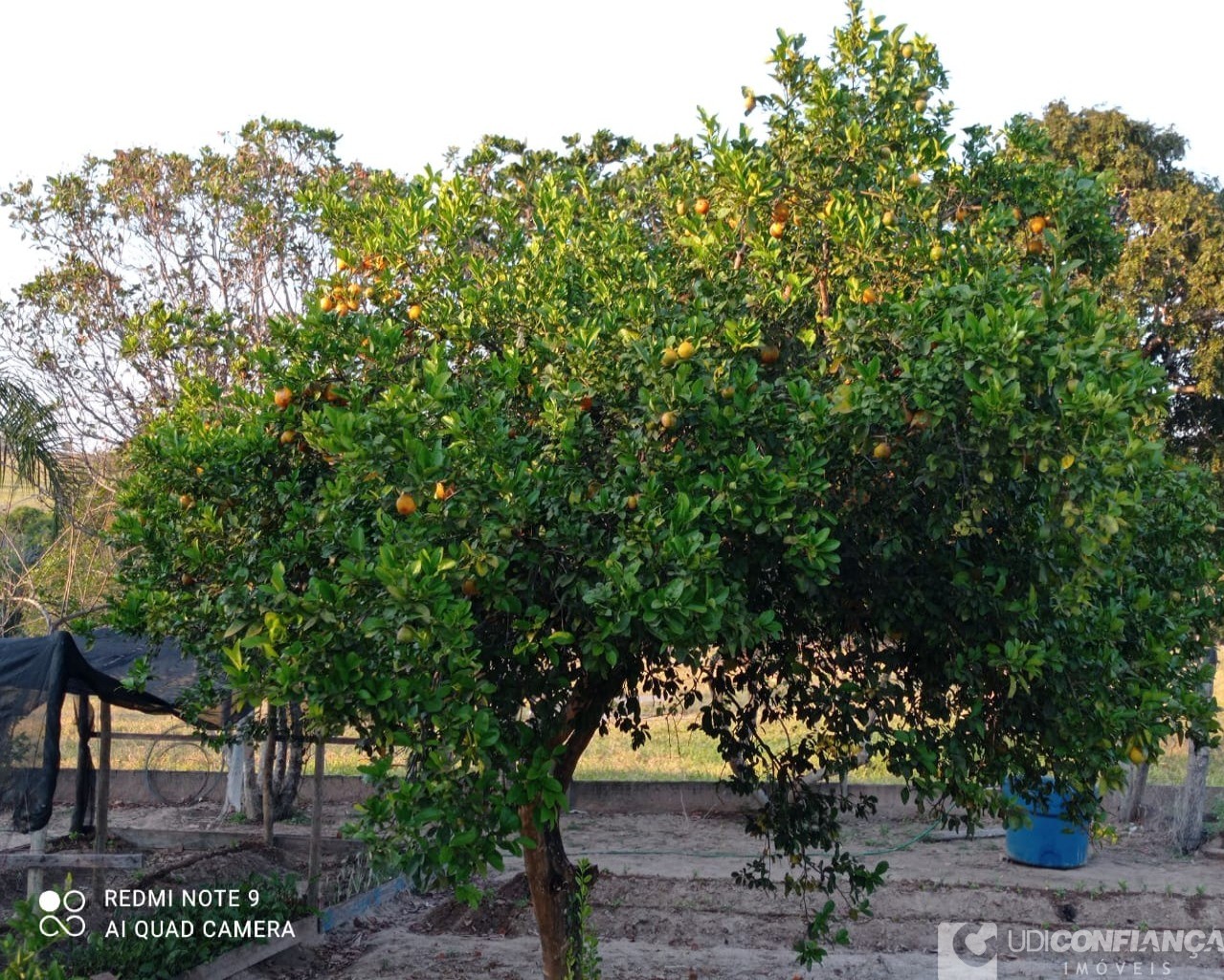 Fazenda à venda - Foto 13