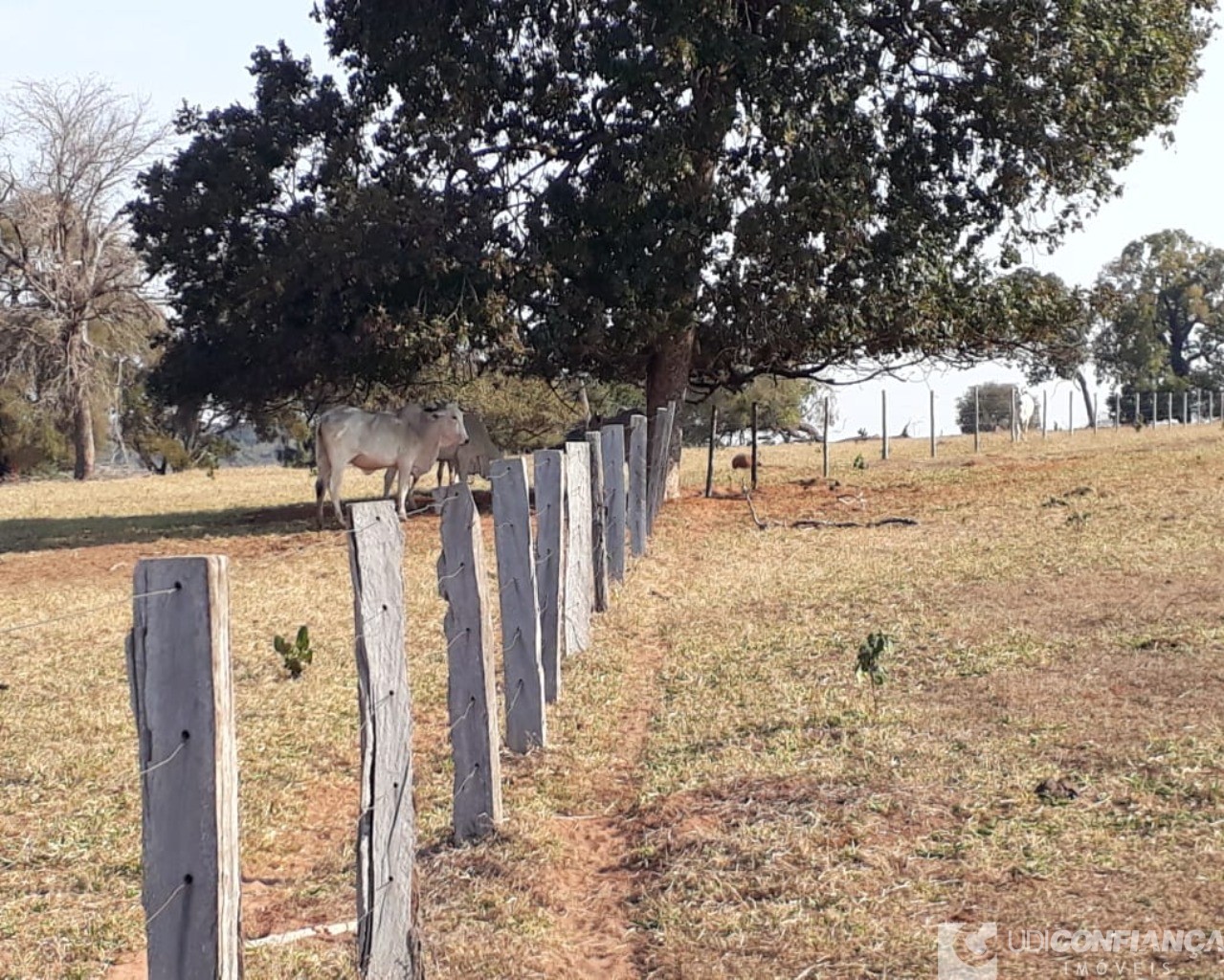 Fazenda à venda - Foto 10