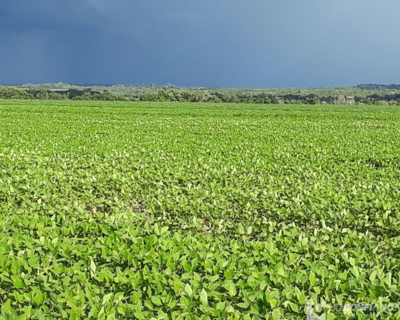 Fazenda à venda - Foto 19