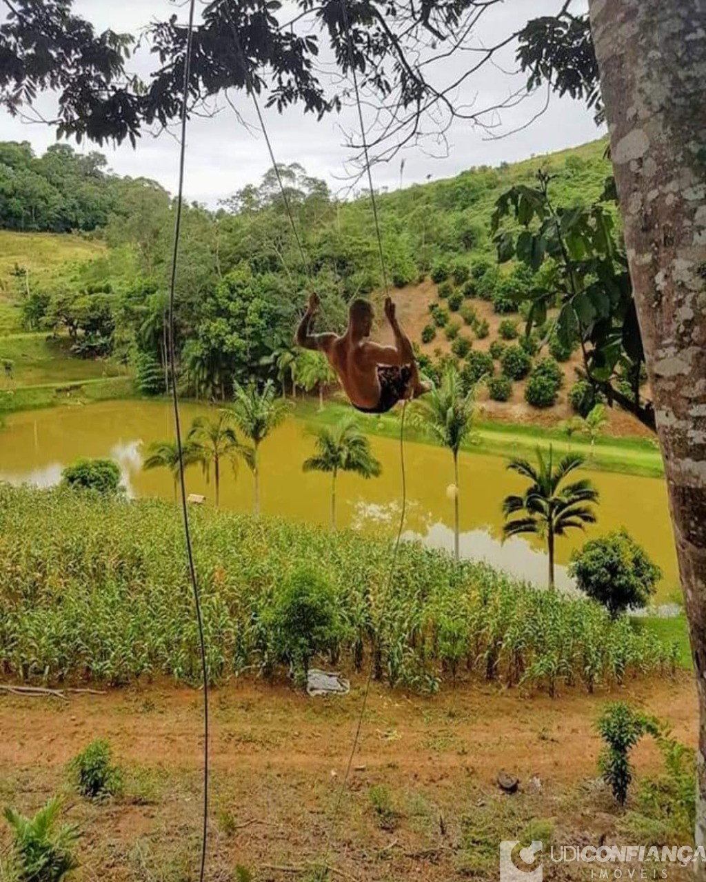 Fazenda à venda com 2 quartos - Foto 3