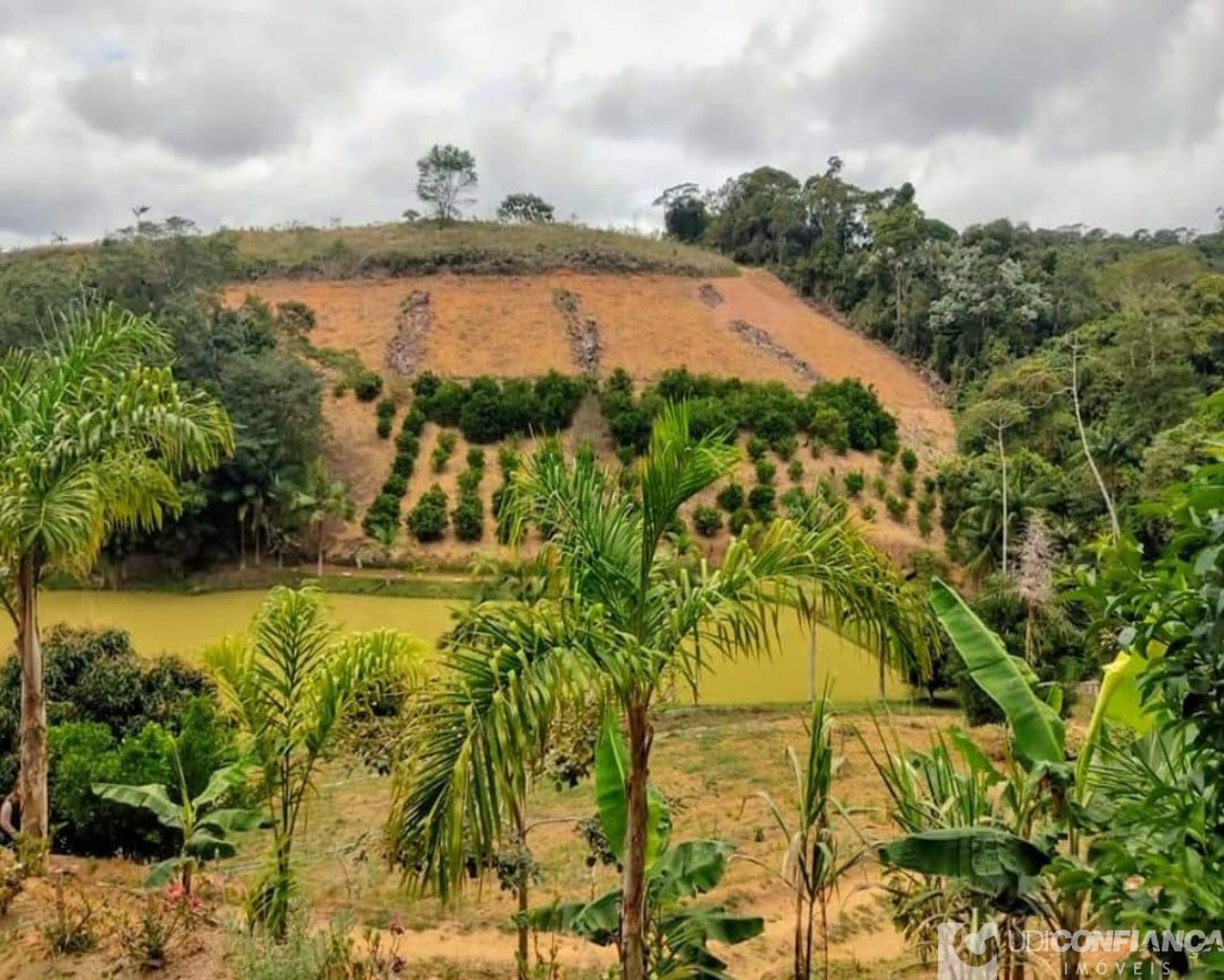 Fazenda à venda com 2 quartos - Foto 1