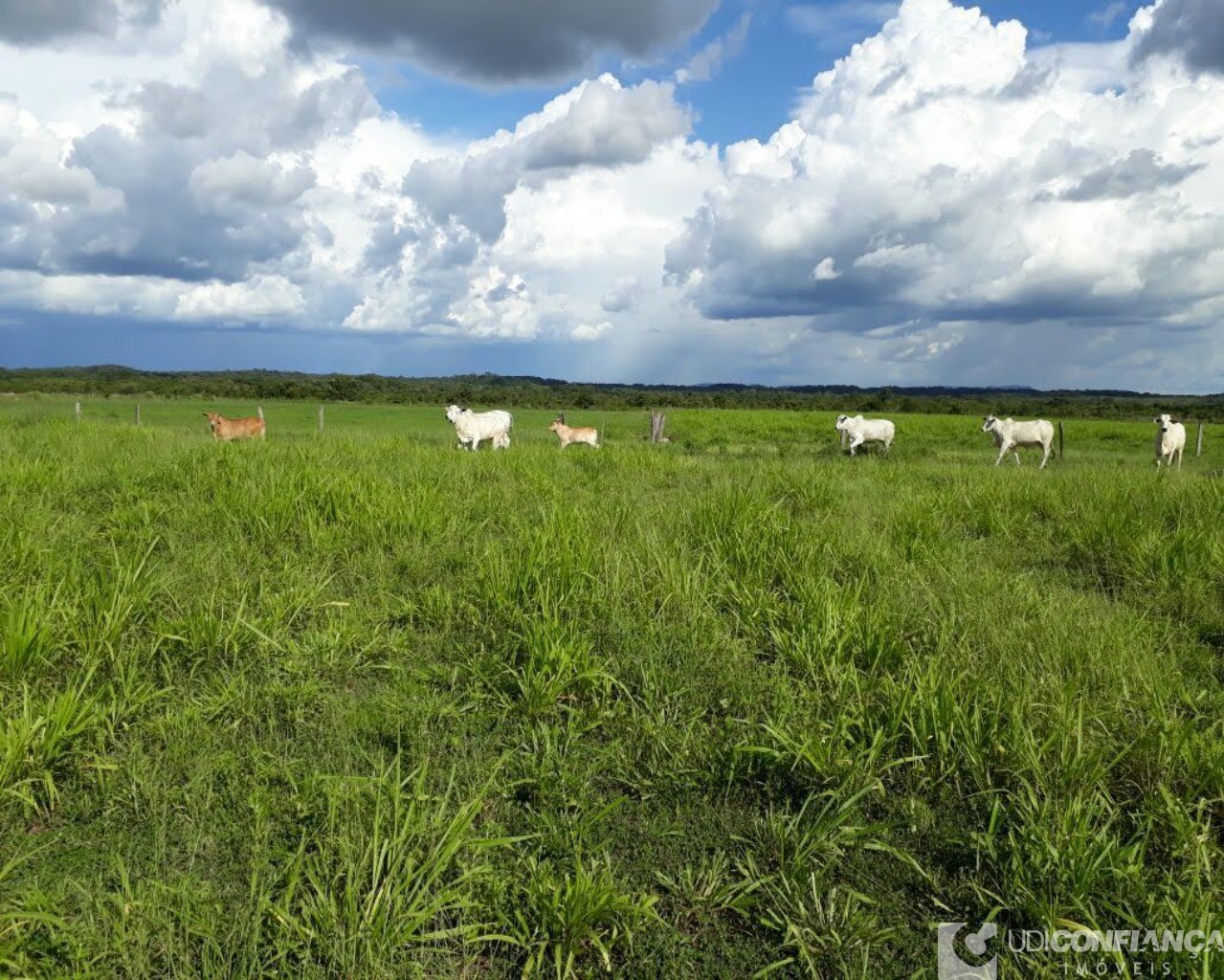 Fazenda à venda - Foto 20