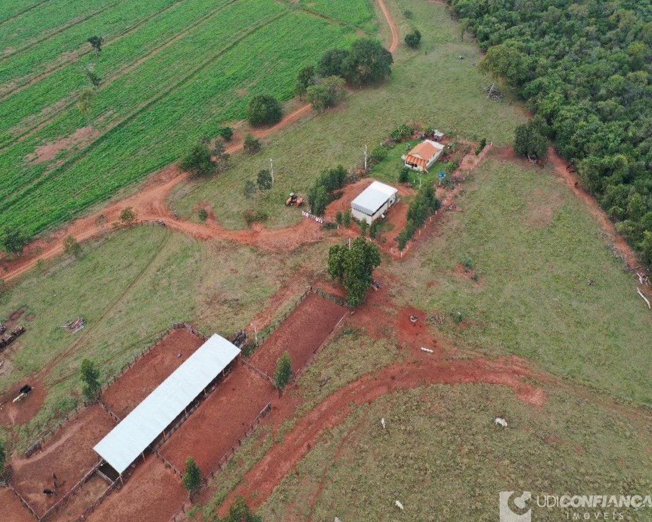 Fazenda à venda - Foto 6