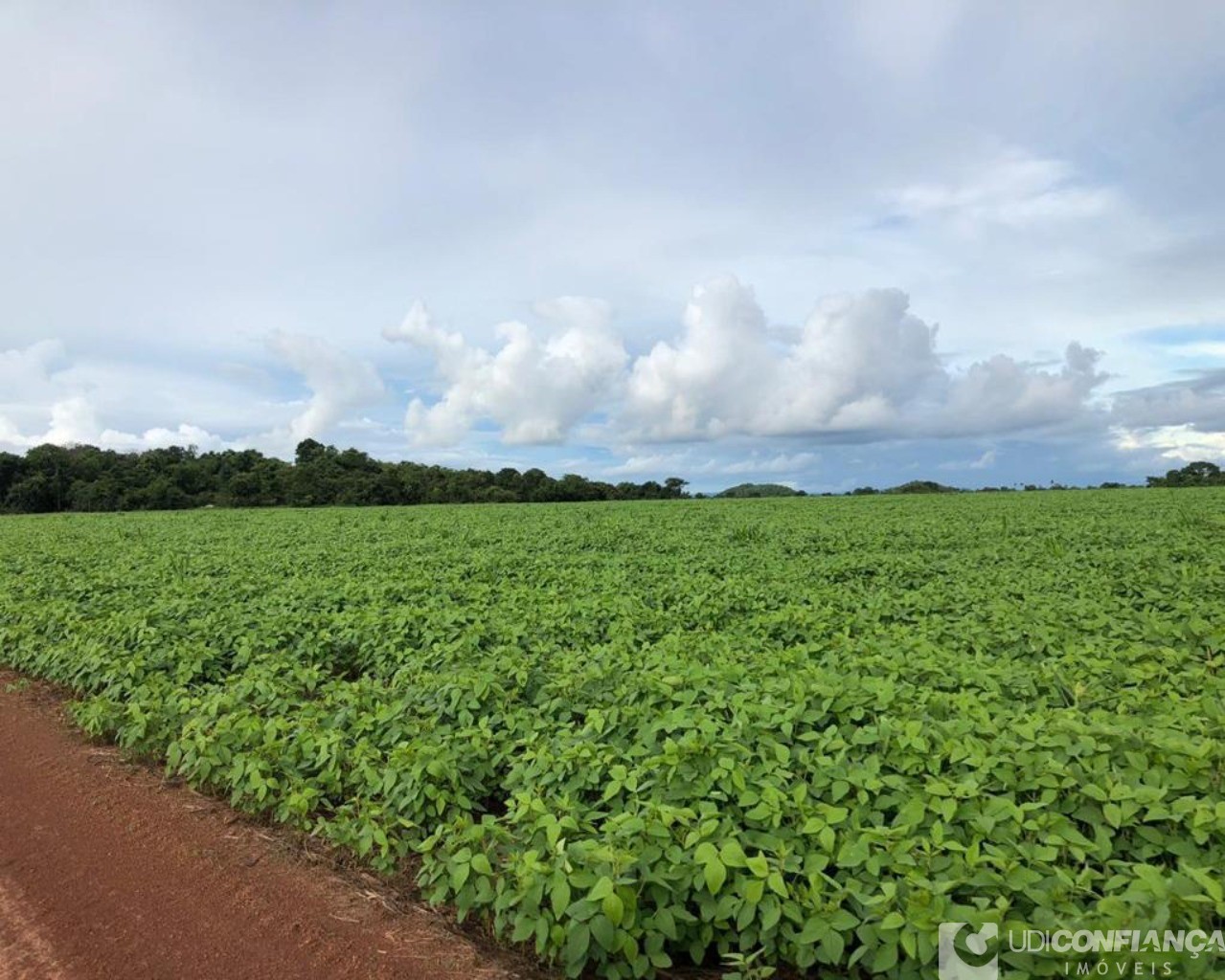 Fazenda à venda - Foto 52