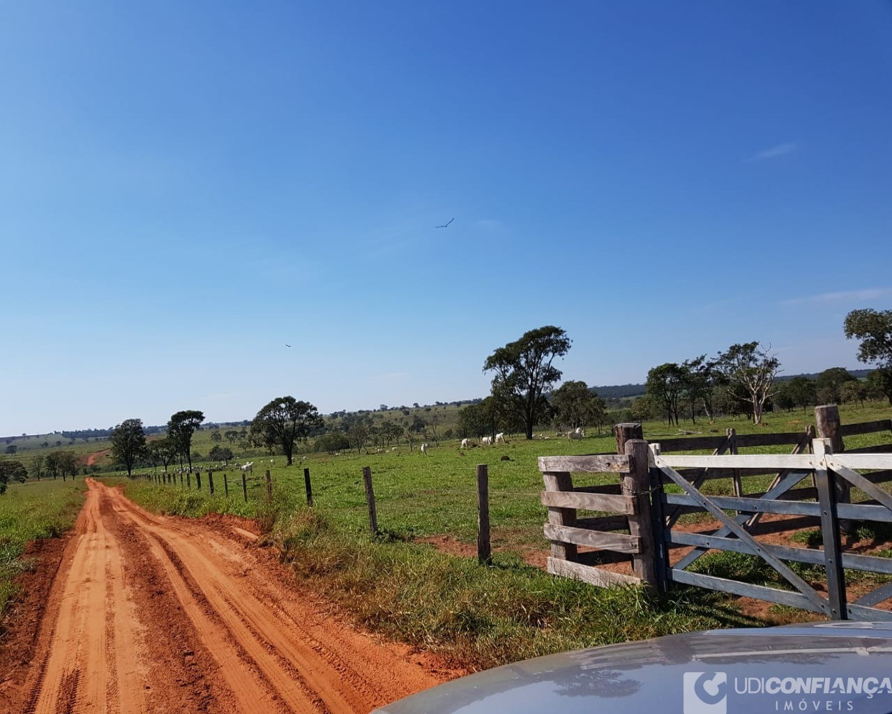 Fazenda à venda - Foto 7