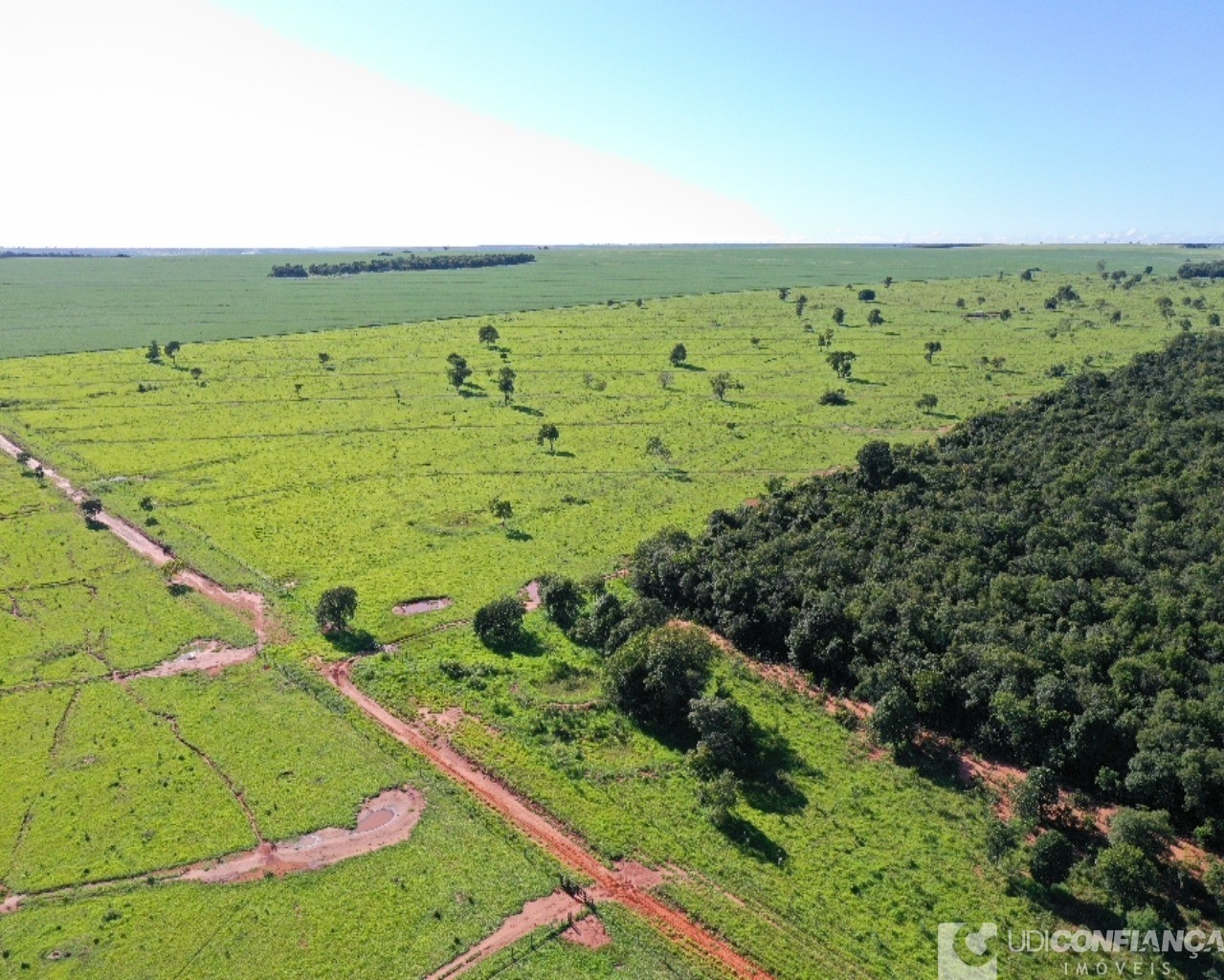 Fazenda à venda - Foto 10