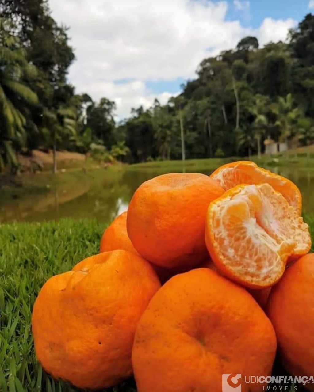 Fazenda à venda com 2 quartos - Foto 5