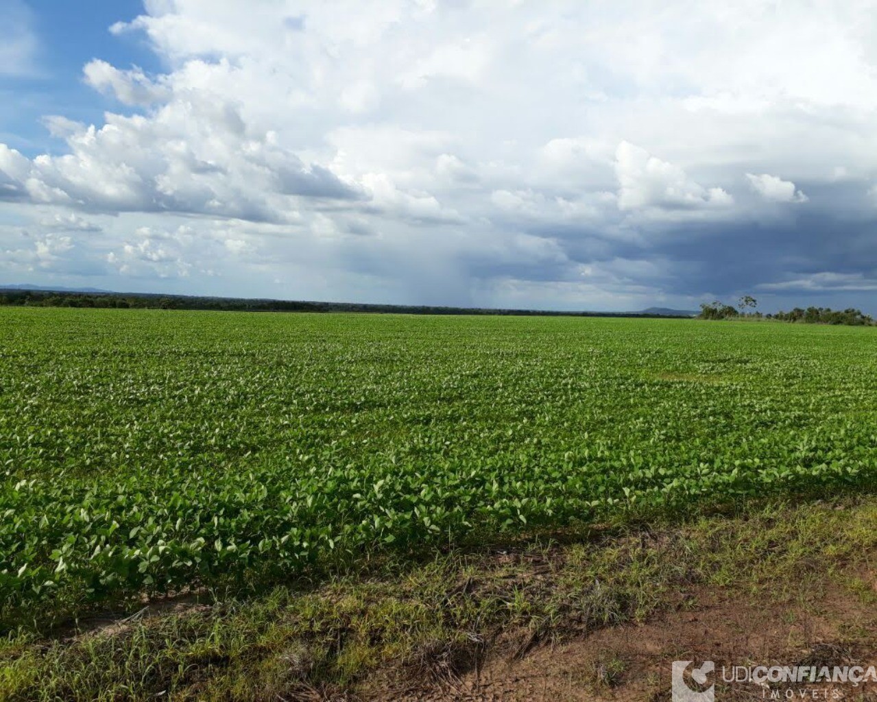 Fazenda à venda - Foto 15