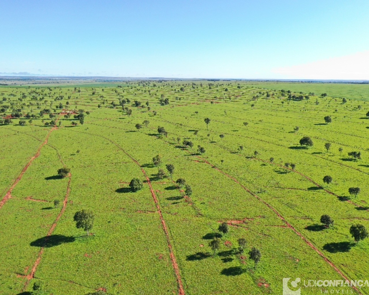 Fazenda à venda - Foto 11