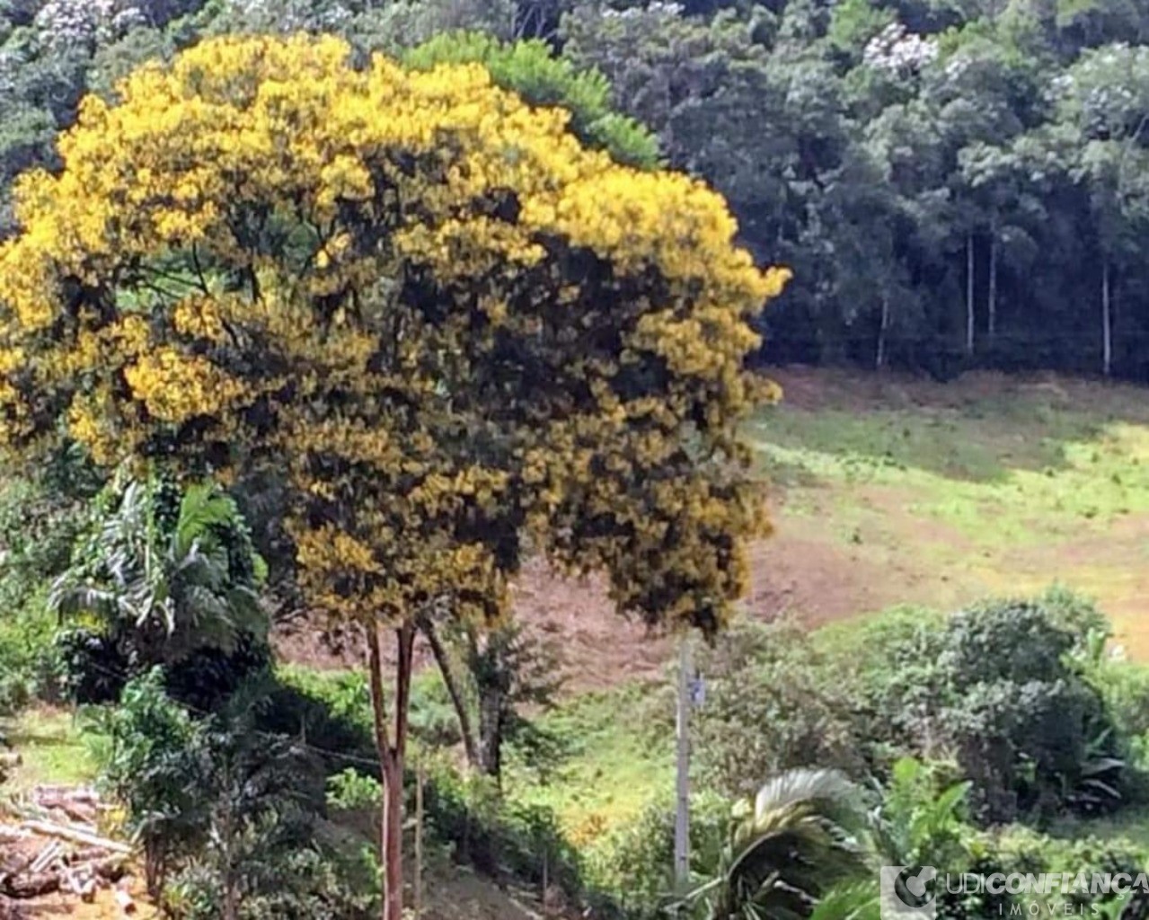 Fazenda à venda com 2 quartos - Foto 7