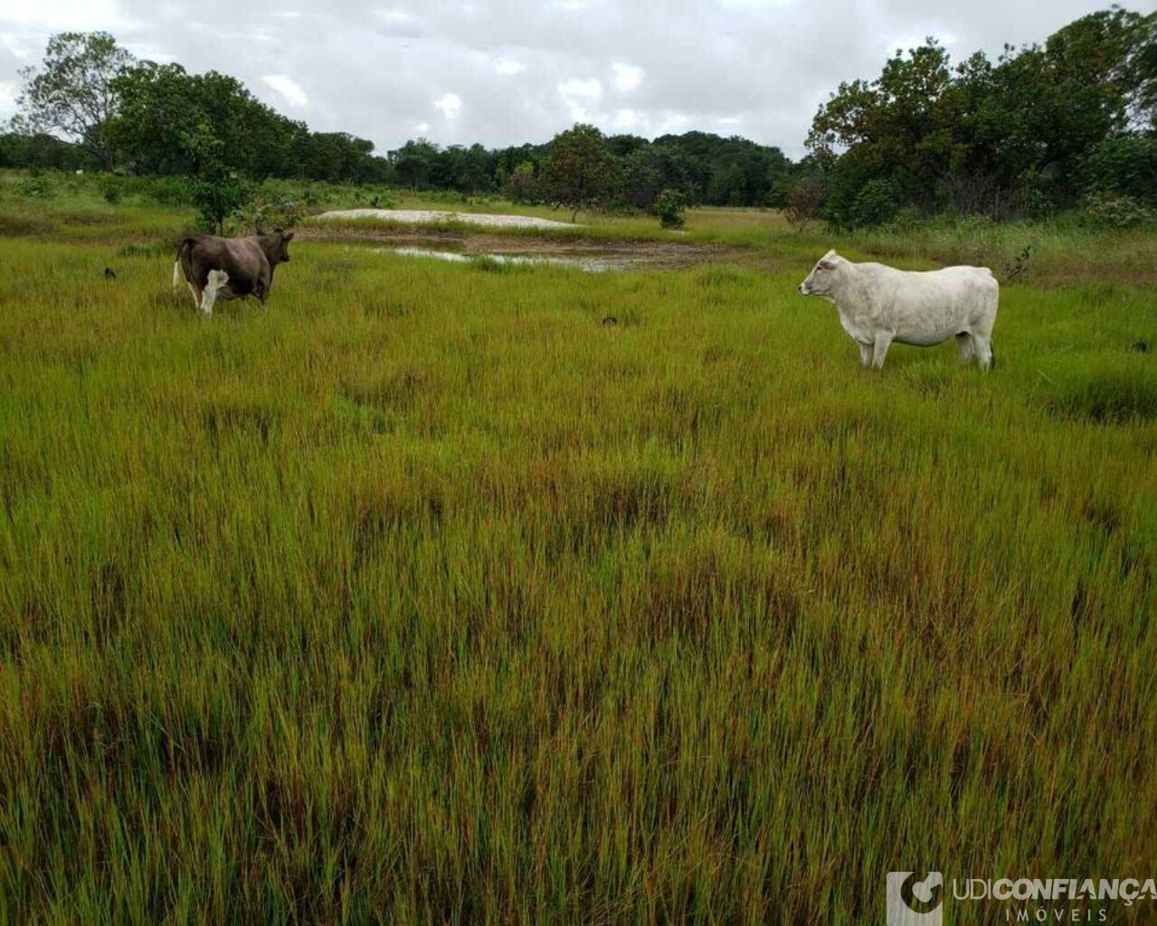 Fazenda à venda - Foto 5