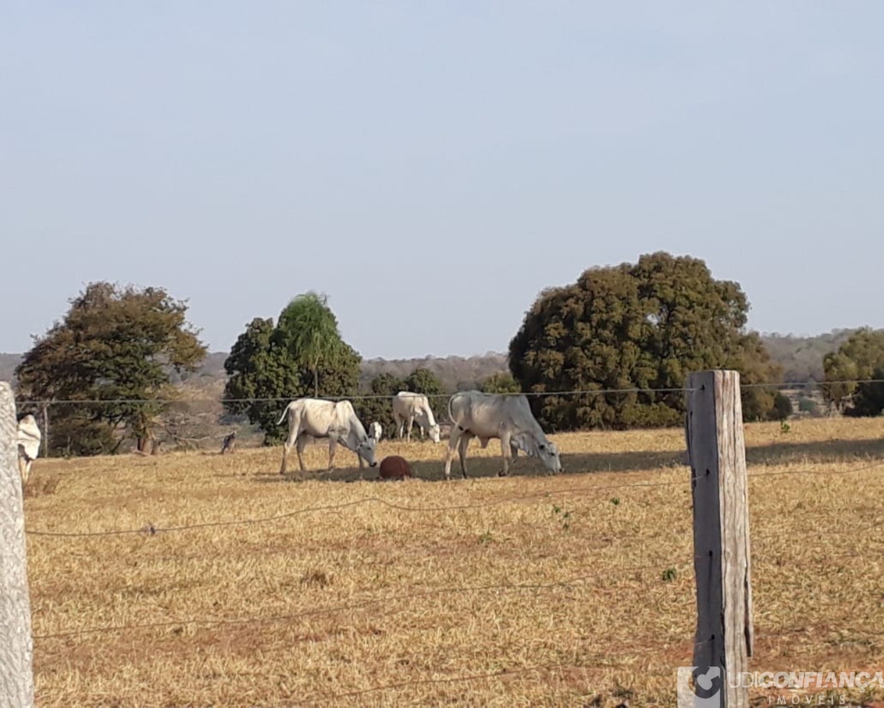 Fazenda à venda - Foto 1