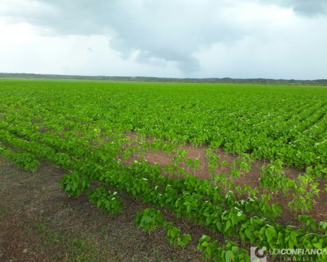 Fazenda à venda - Foto 12