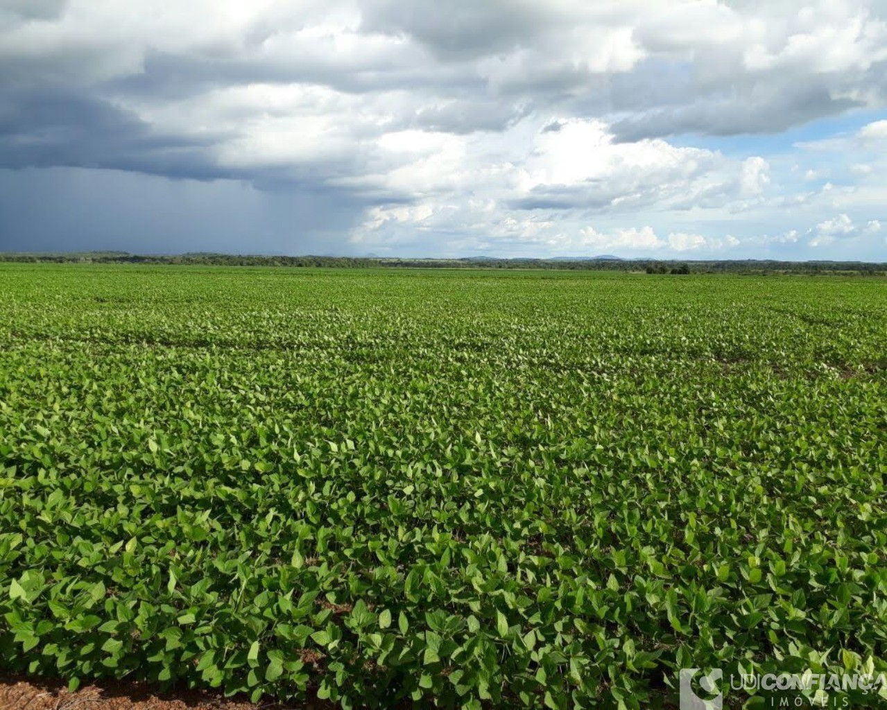 Fazenda à venda - Foto 5