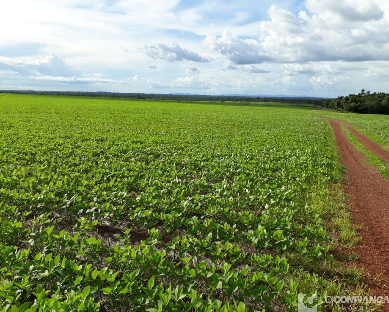 Fazenda à venda - Foto 7