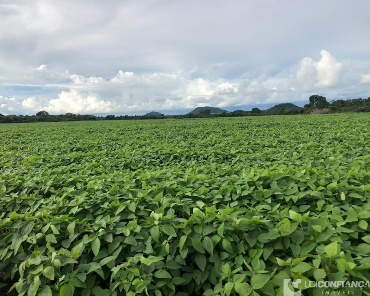 Fazenda à venda - Foto 48