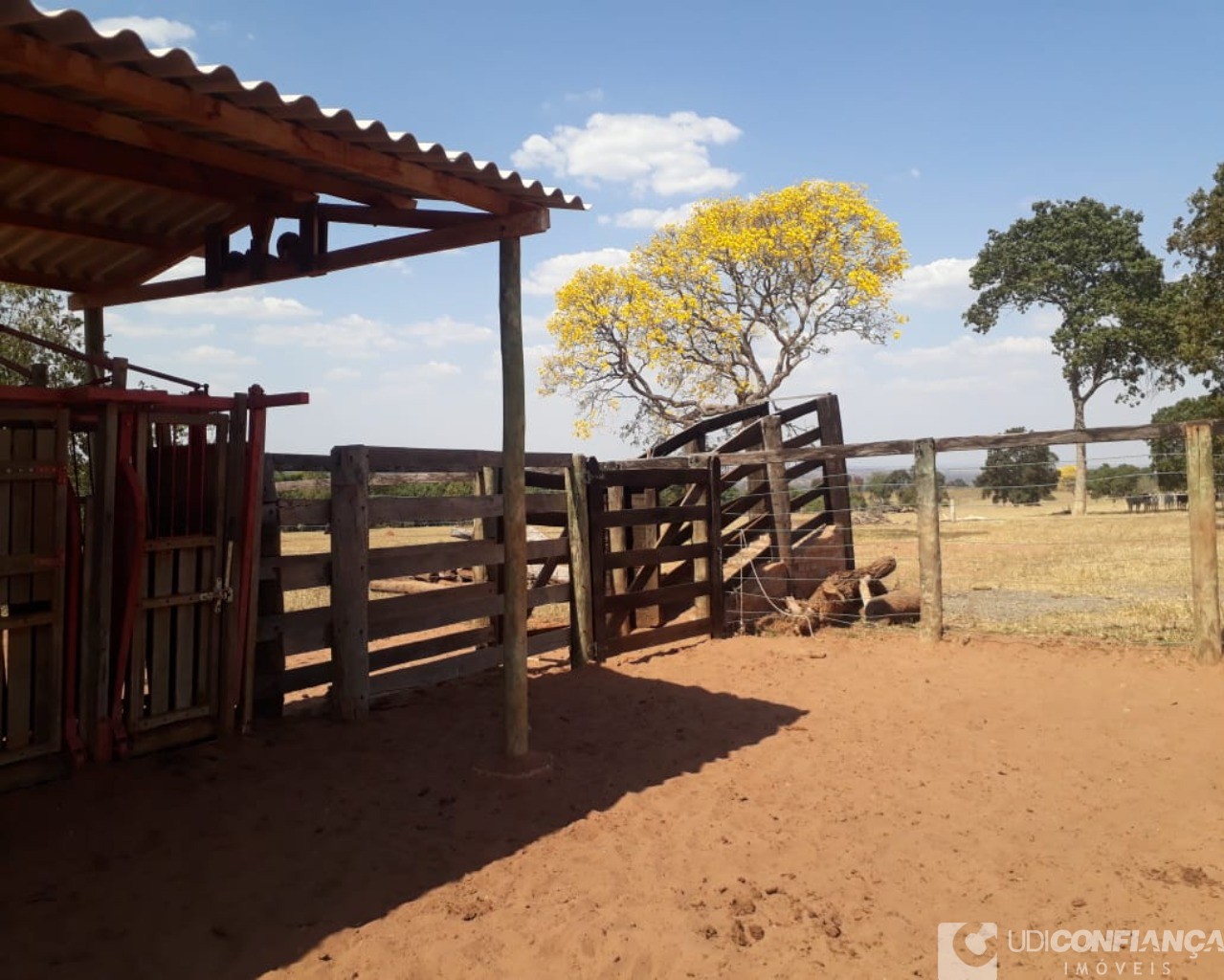 Fazenda à venda - Foto 5