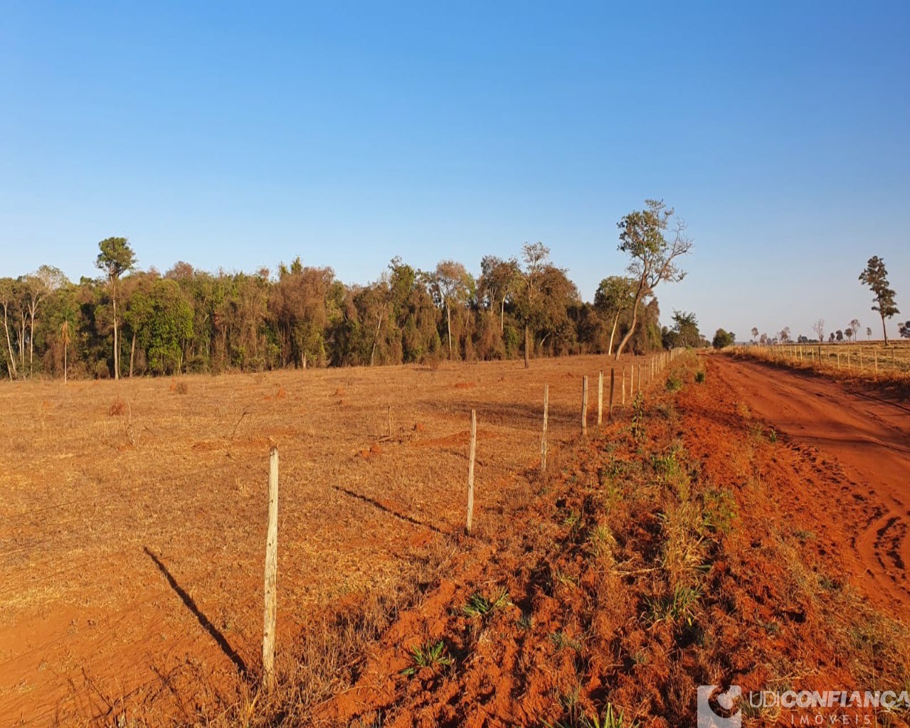 Fazenda à venda - Foto 11