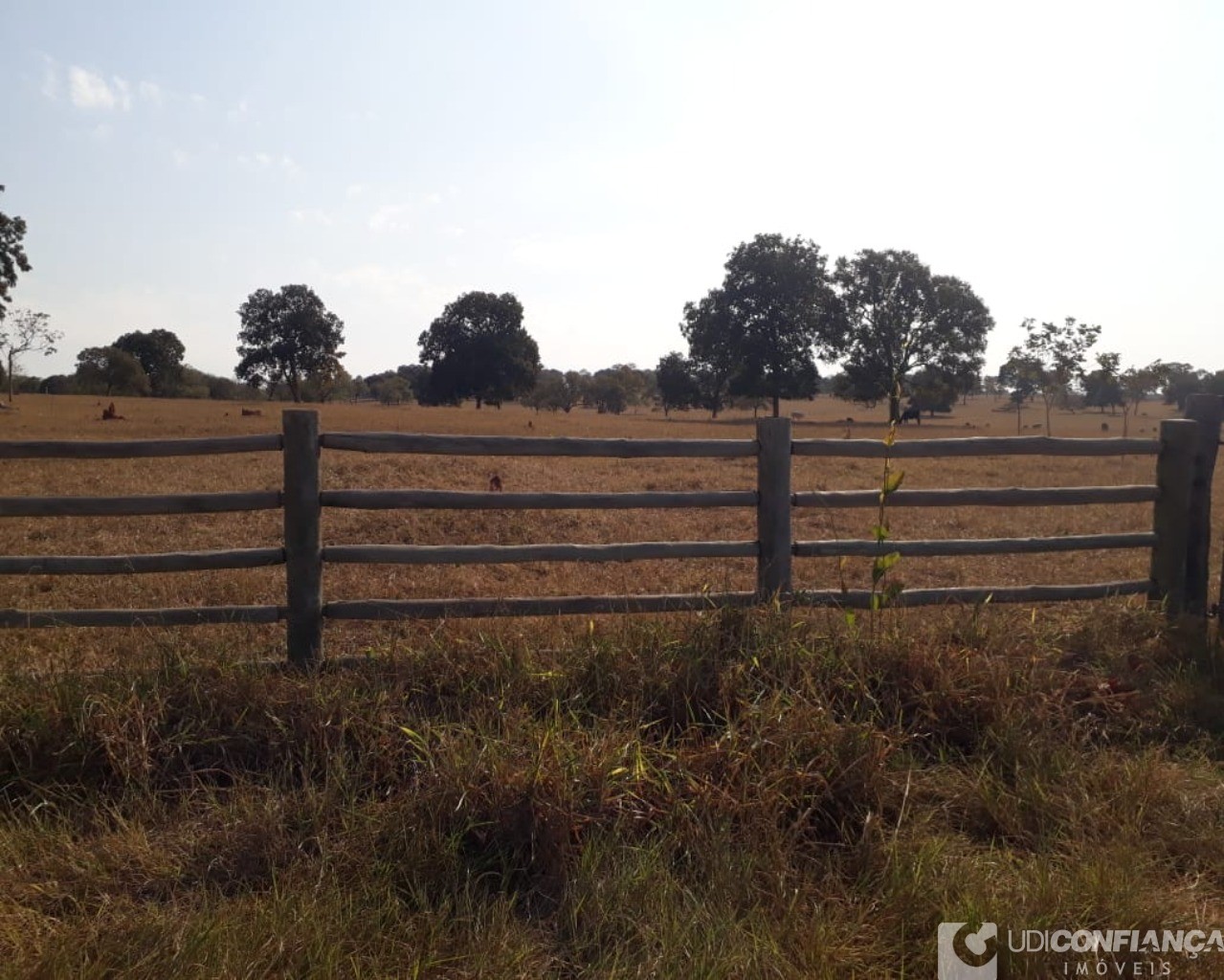 Fazenda à venda - Foto 3