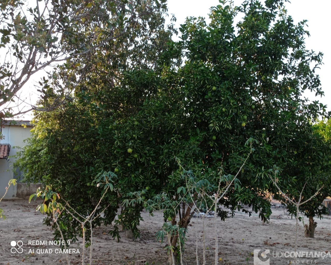 Fazenda à venda - Foto 20