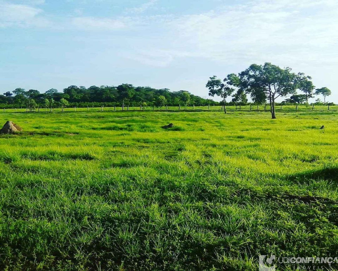 Fazenda à venda - Foto 8