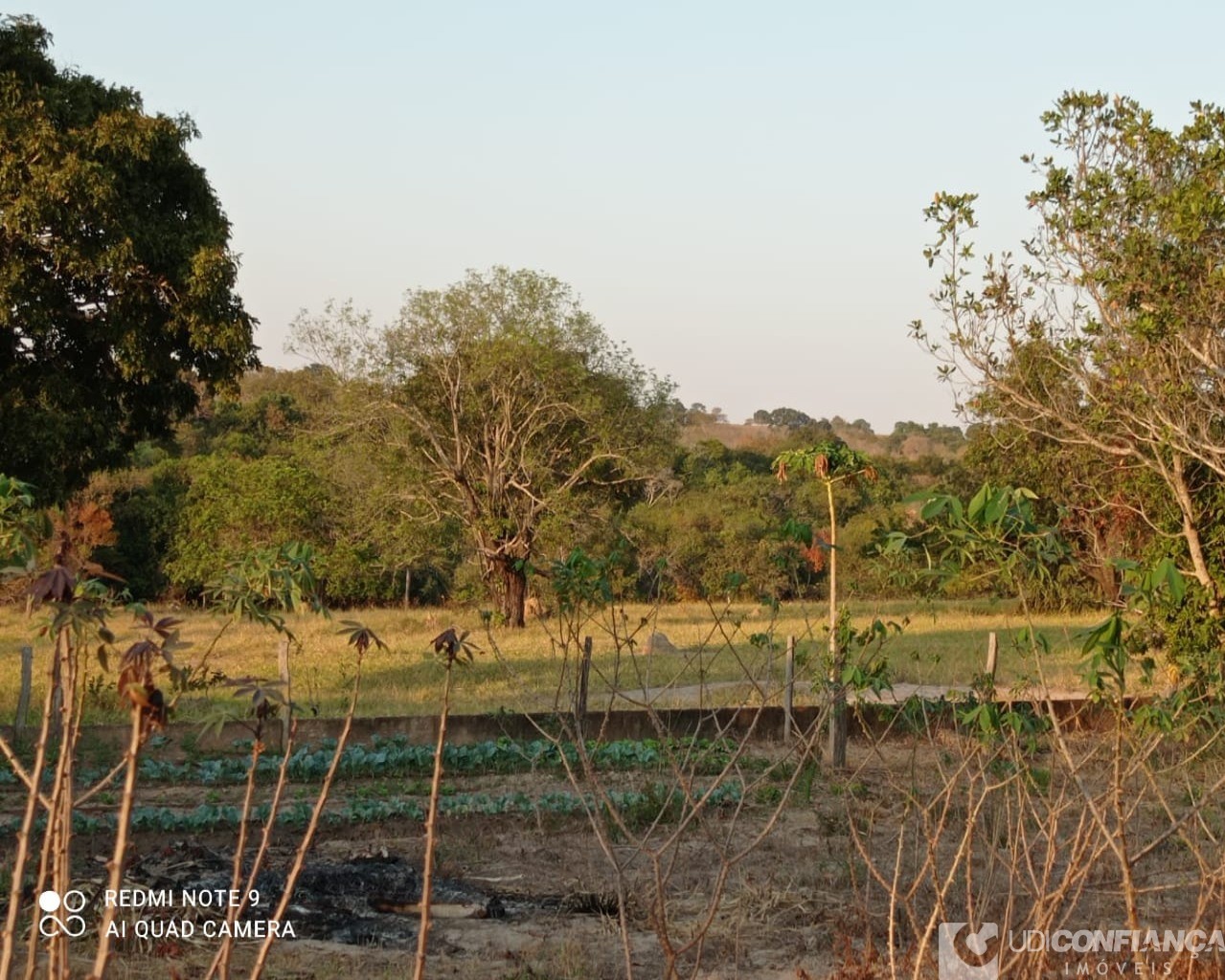 Fazenda à venda - Foto 15