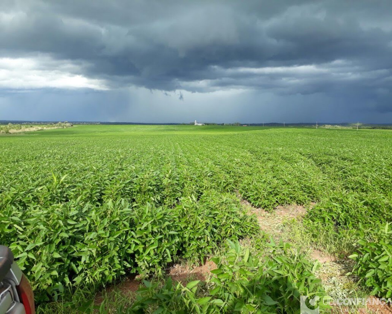 Fazenda à venda - Foto 8