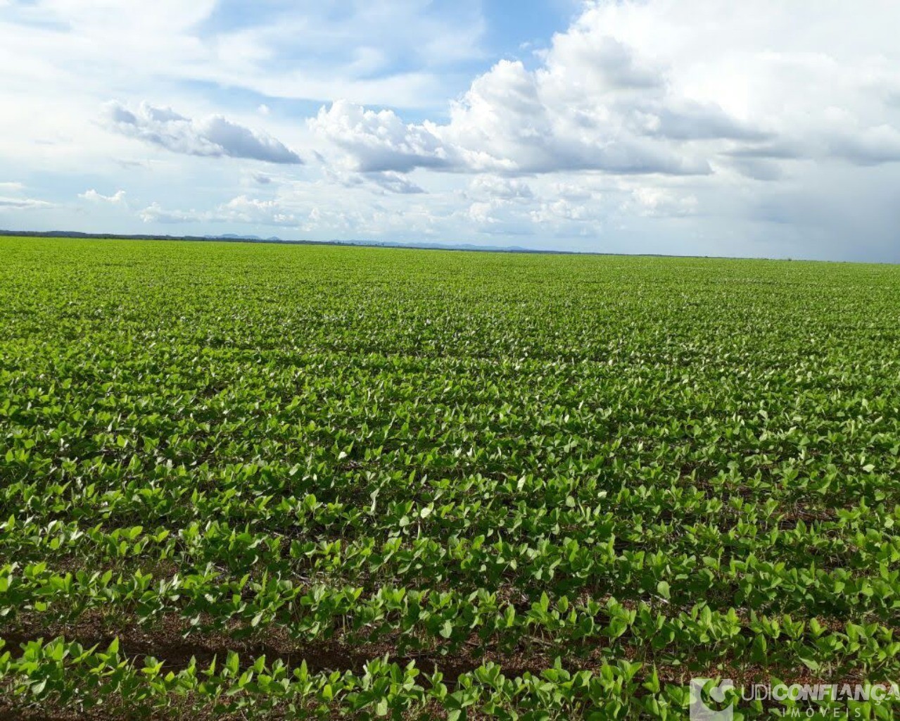 Fazenda à venda - Foto 17