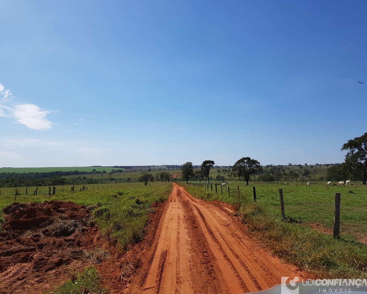 Fazenda à venda - Foto 9