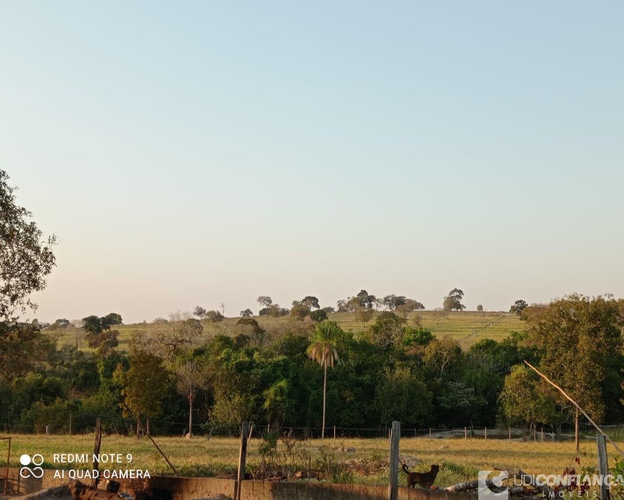 Fazenda à venda - Foto 9