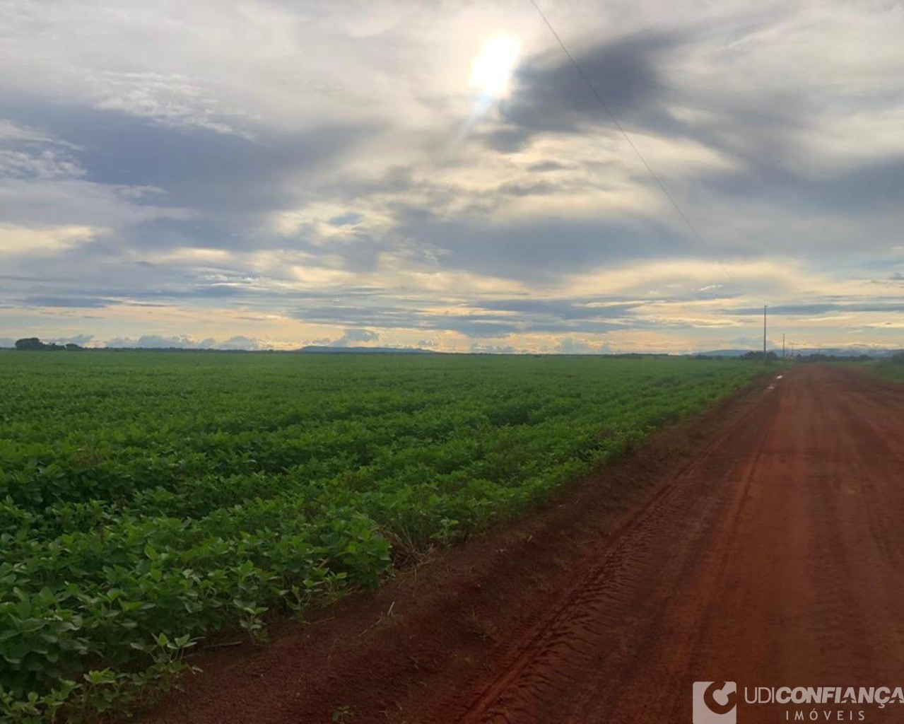 Fazenda à venda - Foto 38