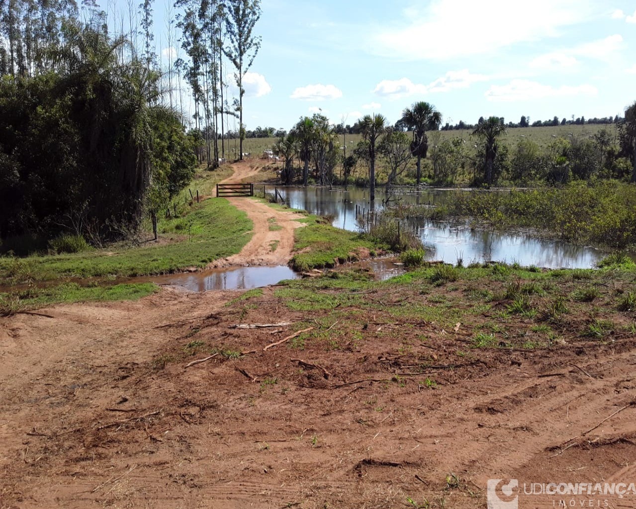 Fazenda à venda - Foto 6