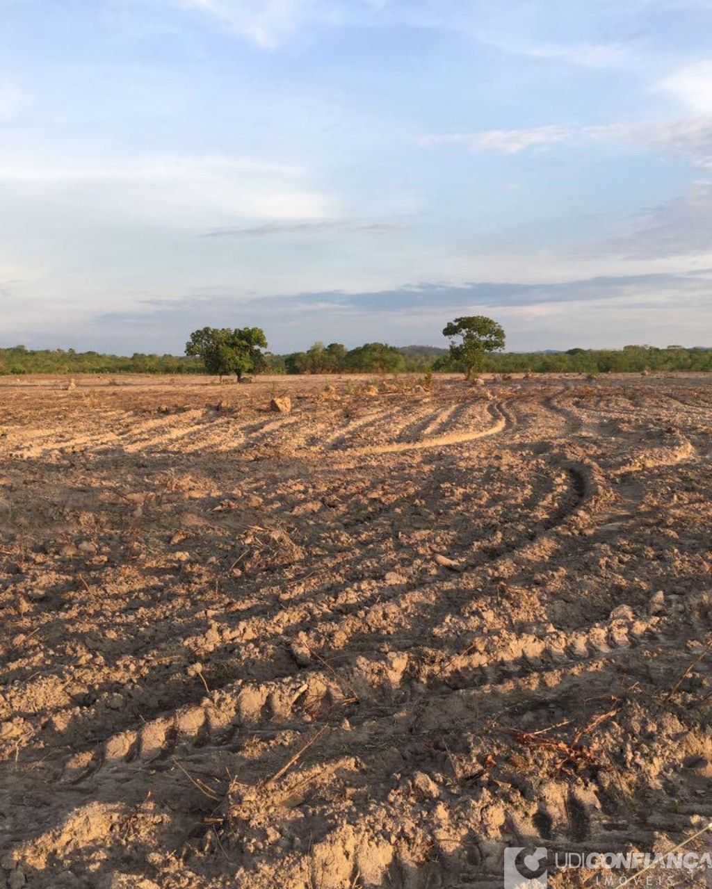 Fazenda à venda - Foto 13