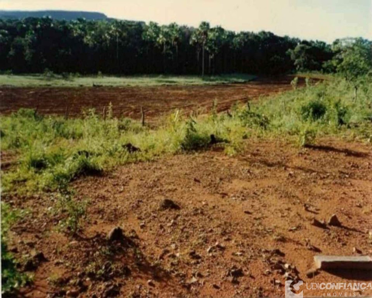 Fazenda à venda - Foto 4