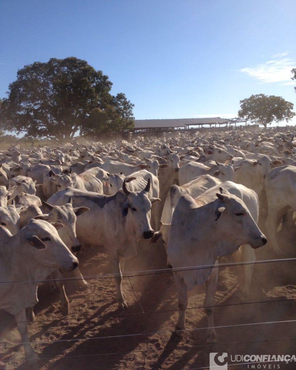 Fazenda à venda - Foto 9