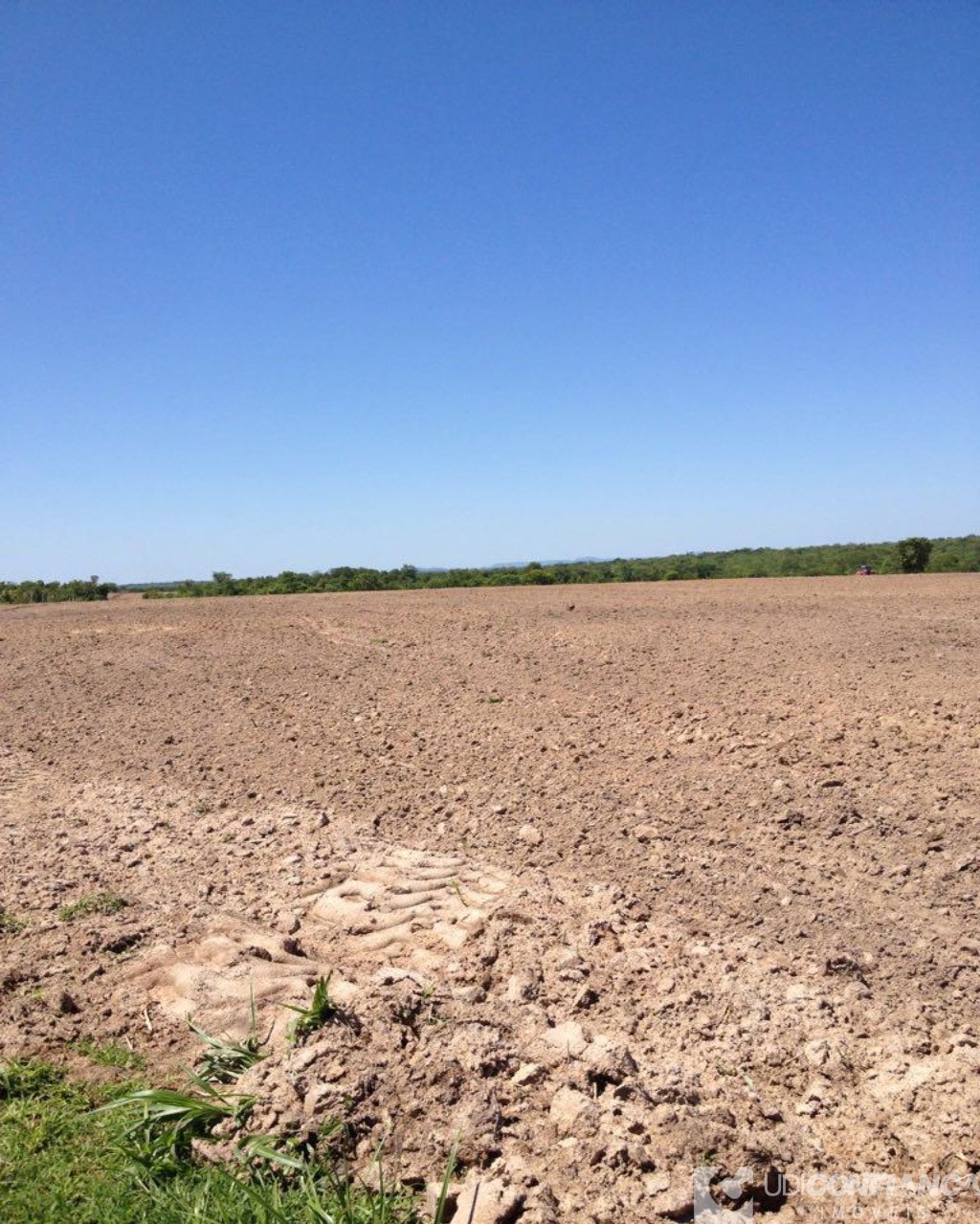 Fazenda à venda - Foto 8