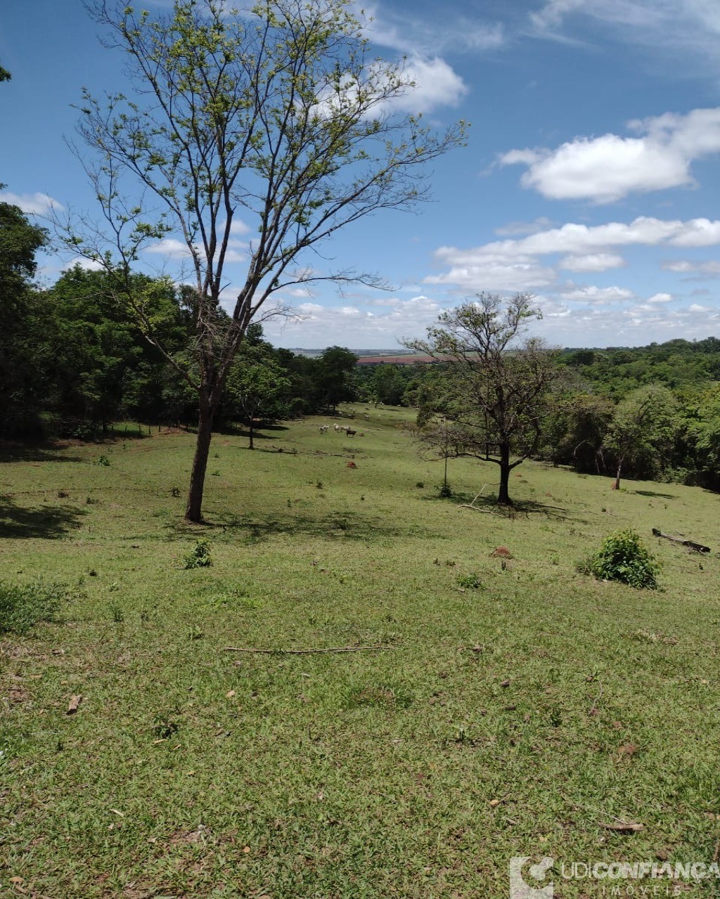 Fazenda à venda com 3 quartos - Foto 18