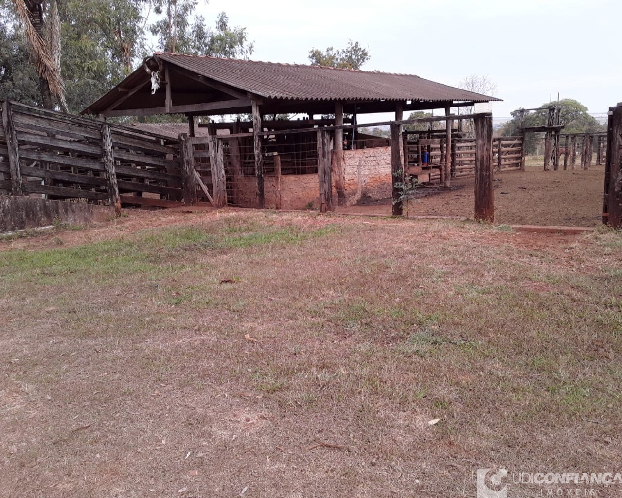 Fazenda à venda - Foto 4