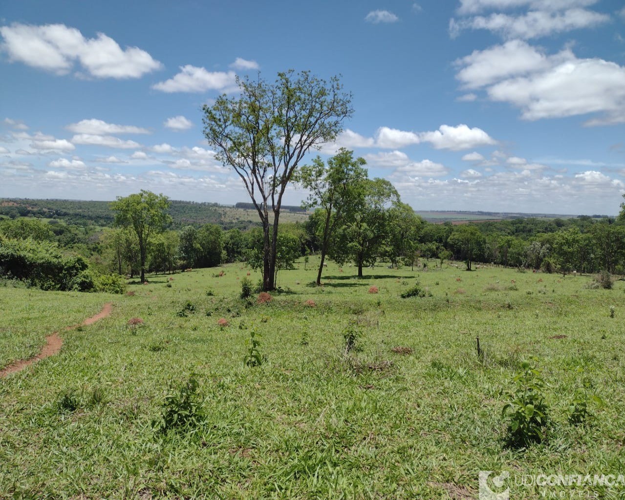 Fazenda à venda com 3 quartos - Foto 17