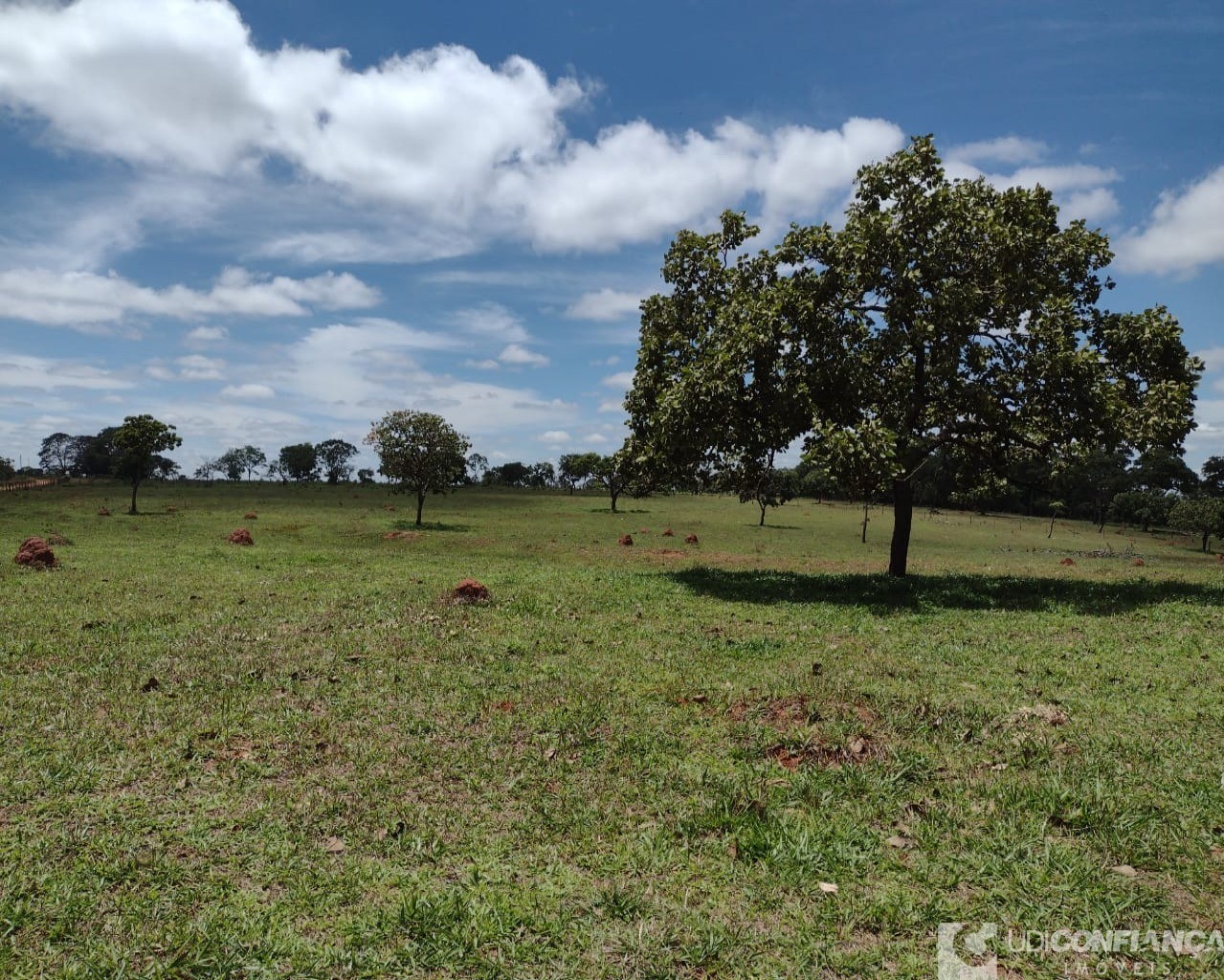 Fazenda à venda com 3 quartos - Foto 4