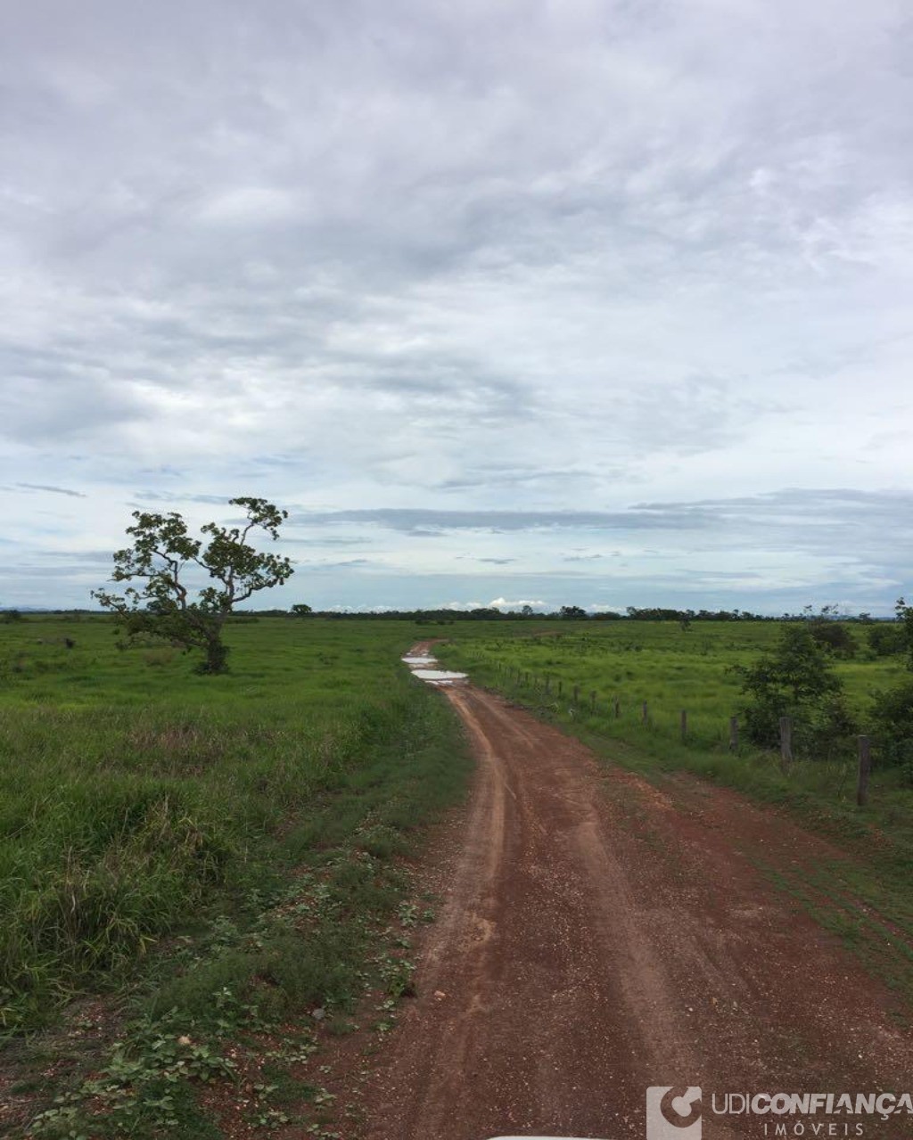 Fazenda à venda - Foto 4