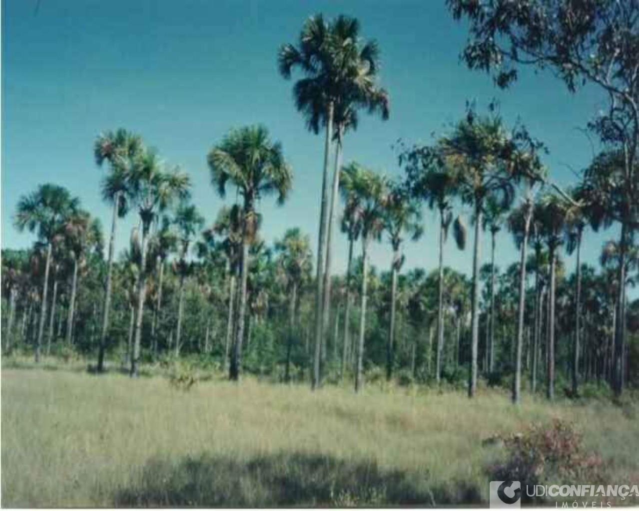 Fazenda à venda - Foto 7